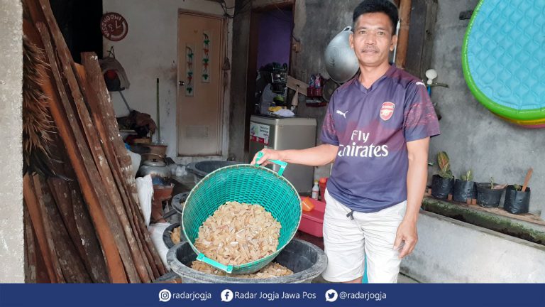 Produksi Menurun karena Musim Hujan, Bukan Pandemi