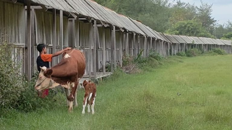 Seperti Manusia, Dijaga Kebugarannya, Berjemur sekaligus Olahraga