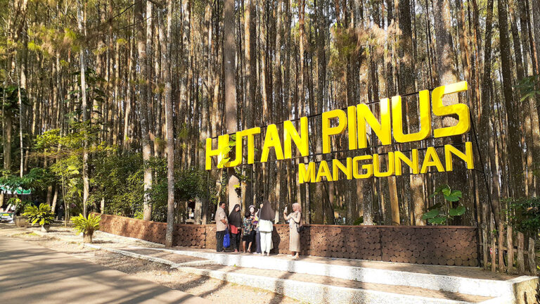 Kunjungan Obwis di Bantul Terjun Bebas