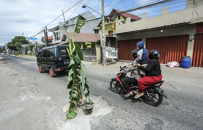 Warga Tanam Pohon Pisang di Jalan Wirokerten