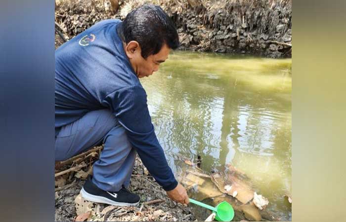 Larva Anopheles Ditemukan di Gunungkidul