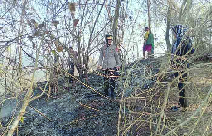 Kebakaran Gunung Roto Dipicu Warga Bakar Ranting dan Daun Kering