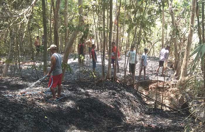 Total 65,9 Ha Lahan Terbakar, Setahun Terakhir, Tersebar di 18 Kapanewon Gunungkidul