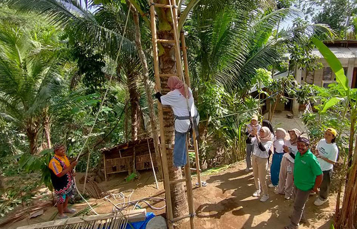 Ajak Wisatawan Rasakan Sensasi menjadi Penderes Nira Kelapa