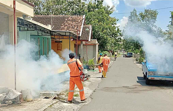 Sudah Ada 128 Kasus DBD, Dinkes Sleman Belum Agendakan Fogging di Awal Musim Penghujan