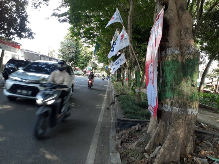 Duh! Pepohonan di Sepanjang Jalan KRT Pringgodiningrat Sleman Dipenuhi Bendera Parpol, Ini Kata Walhi Jogjakarta