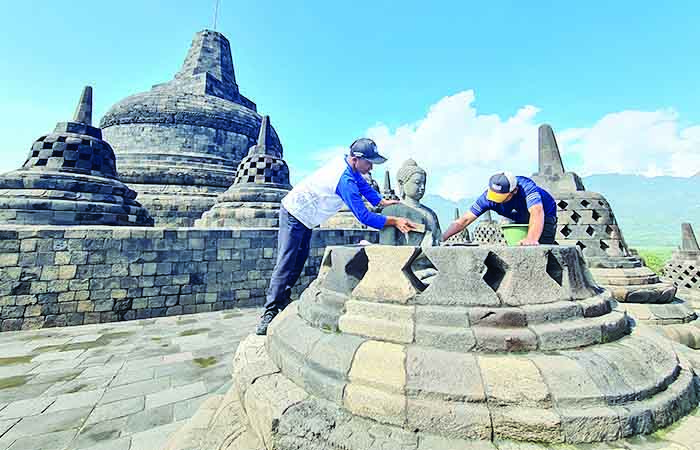 Teratai Mekar di Atas Air sebagai Bunga Simbol Kebesaran Buddha