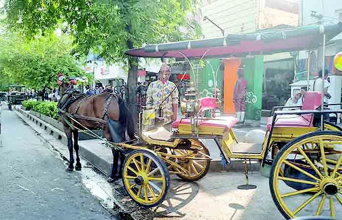 GIPI Sebut Trafik Wisata Nataru Sesuai Ekspektasi, Perlu Optimalisasi Lebih Desa Wisata