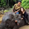 Profil Kapten Rahman, Sosok Gajah Sumatera yang Membuat Wulan Guritno Berduka