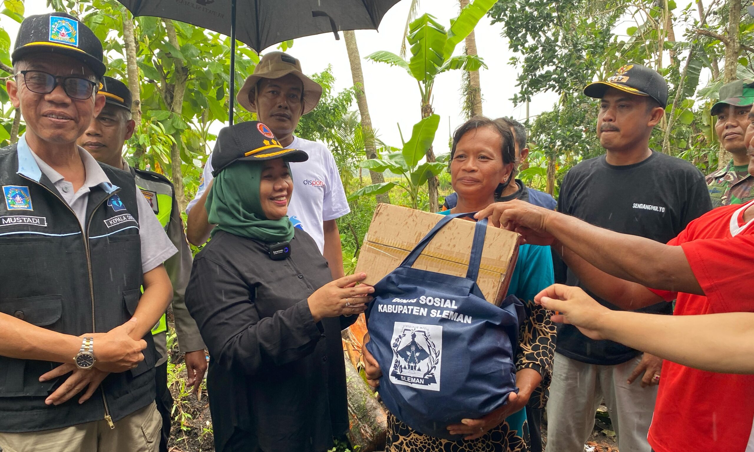 Masyarakat Kesulitan Pangkas Pohon Rawan Tumbang, Bupati Sleman: Laporkan Kalurahan atau Kapanewon